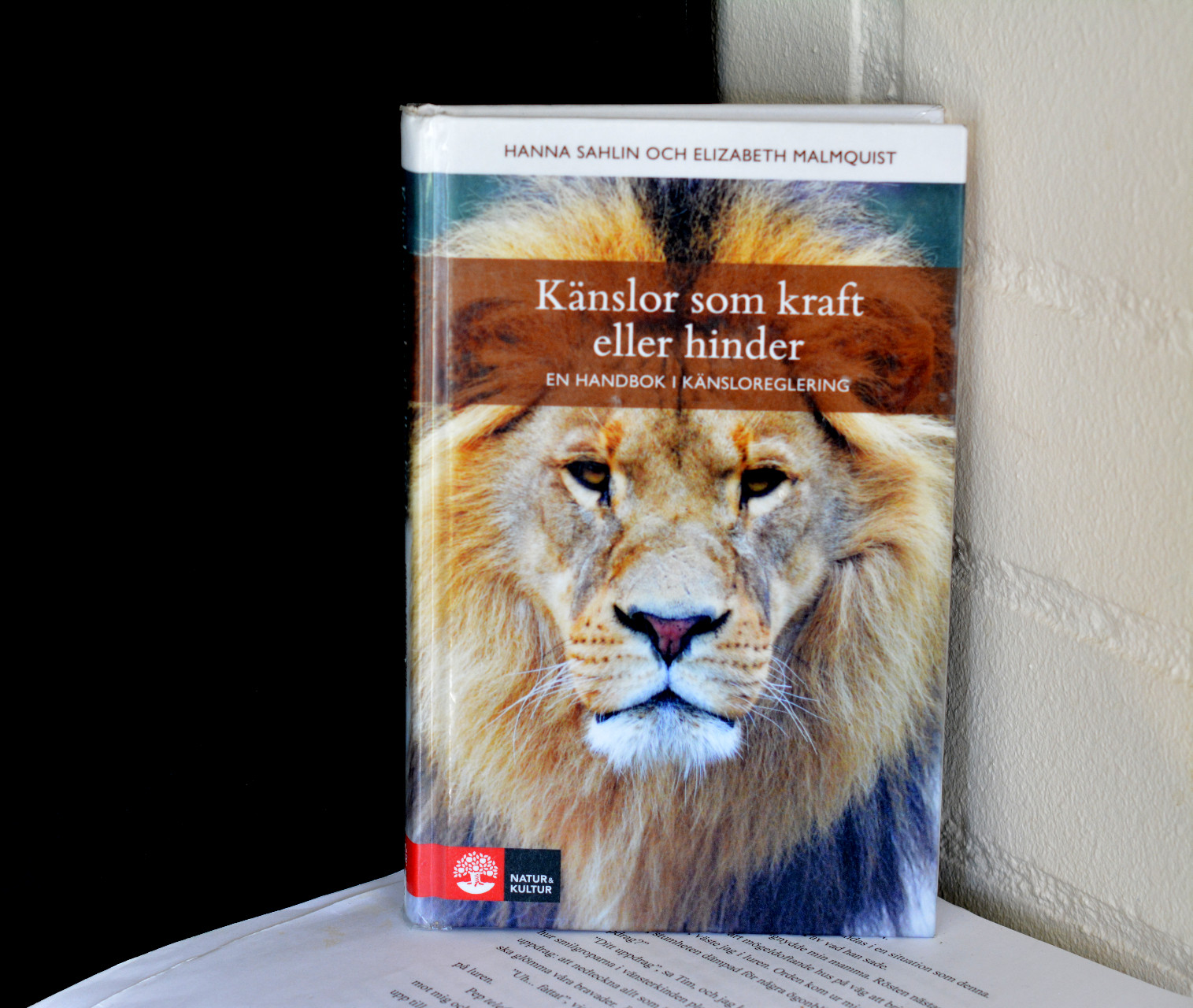 Känslor som kraft eller hinder av Hanna Sahlin och Elizabeth Malmquist