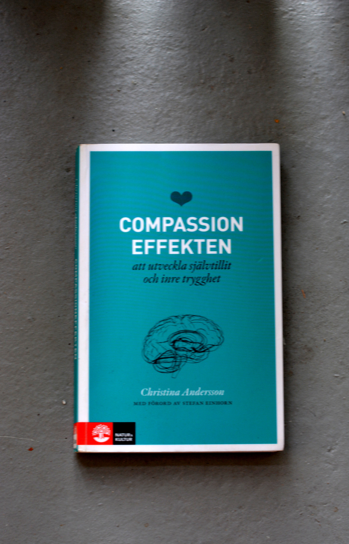 Compassioneffekten av Christina Andersson
