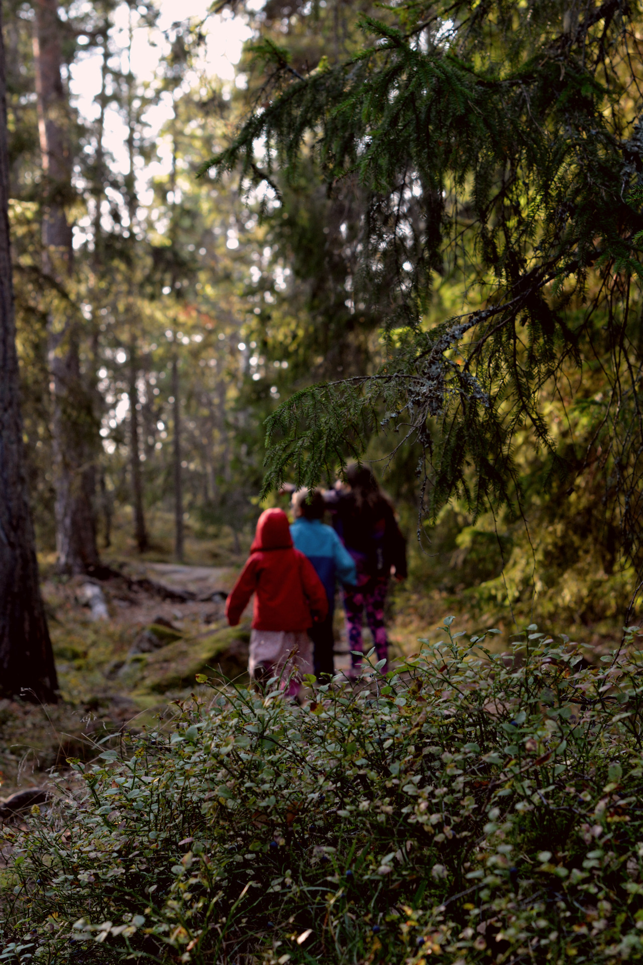Tre barn på skogsutflykt