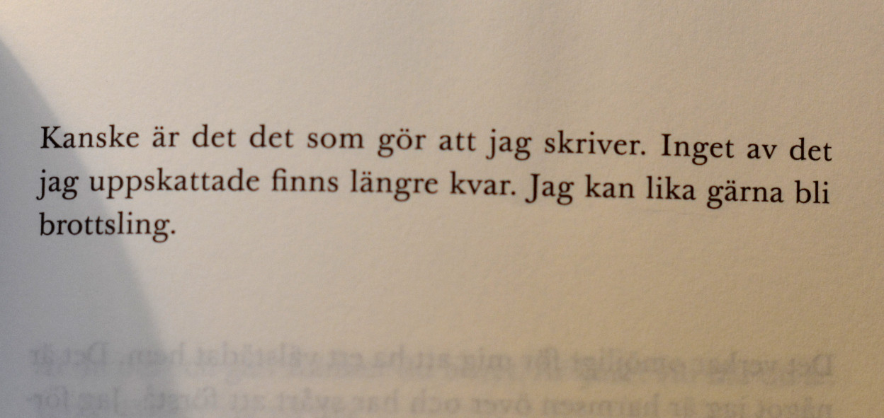 citat ur Anna Järvinens dröm natten till idag