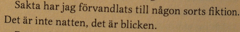 citat ur I slutet borde jag dö av Hannele Mikaela Taivassalo