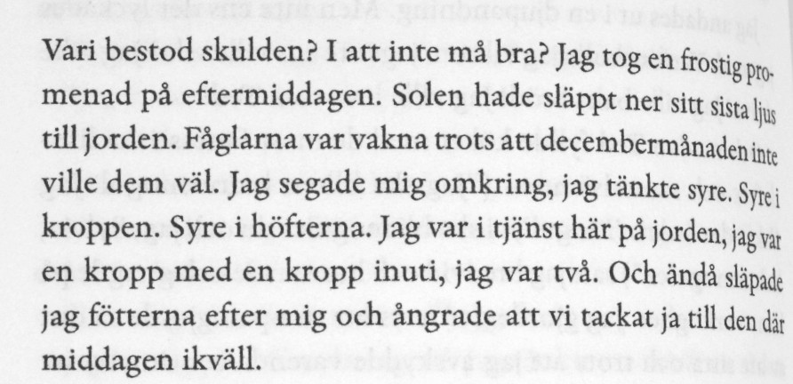 Citat ur Eufori av Elin Cullhed