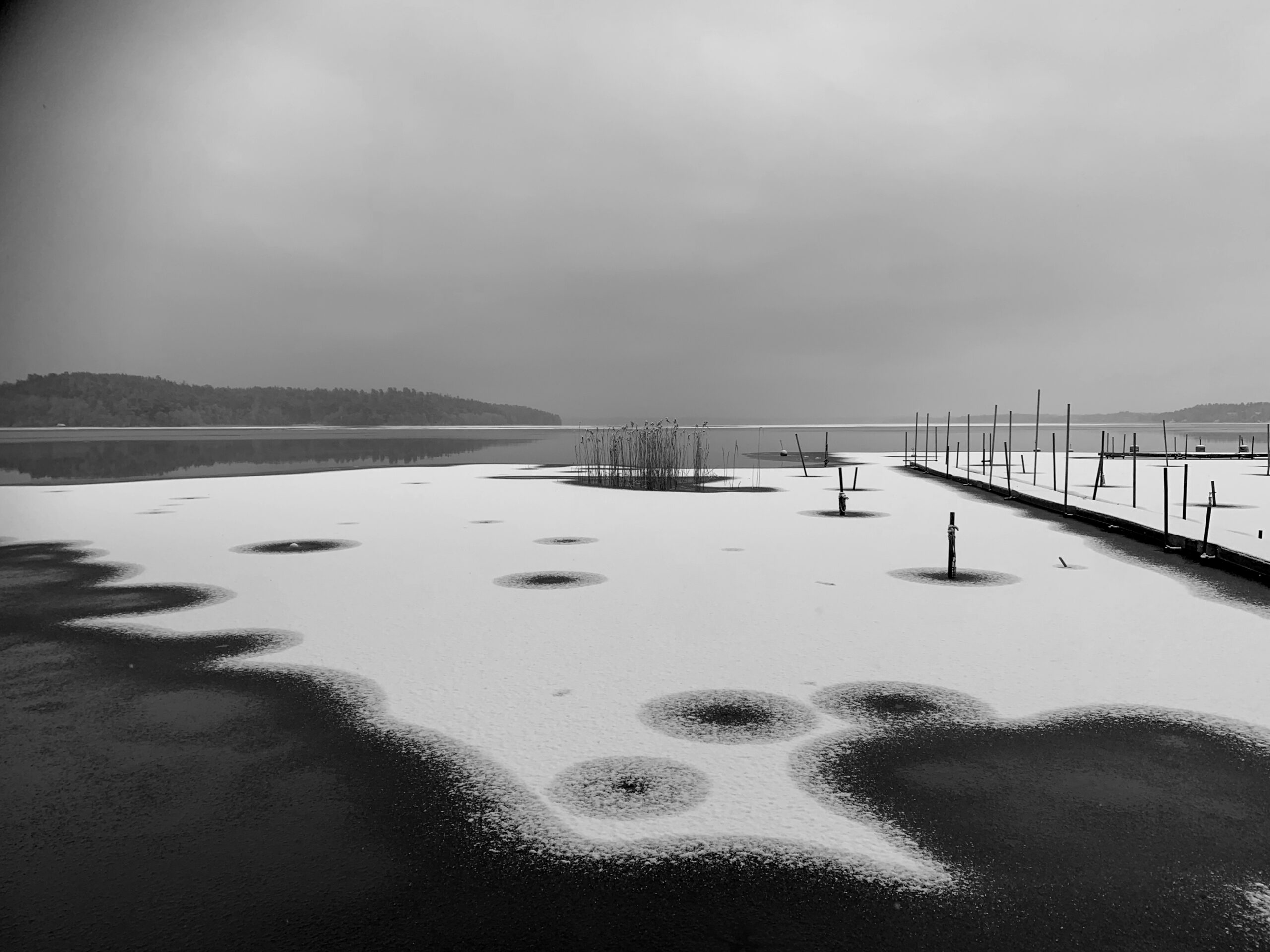 Frusen sjö i Sunnersta, Uppsala, på vintern. Svartvit bild